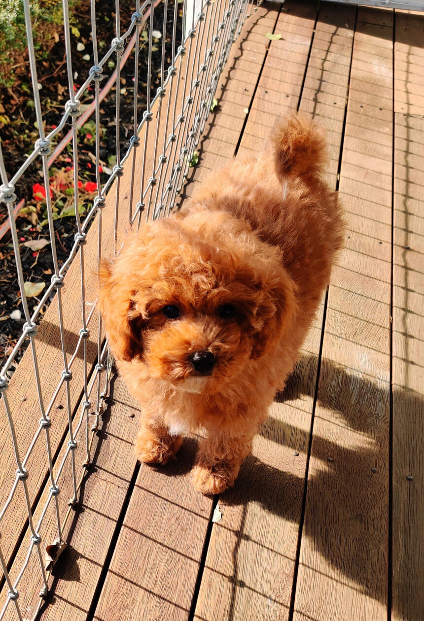 Catching some rays ☀️